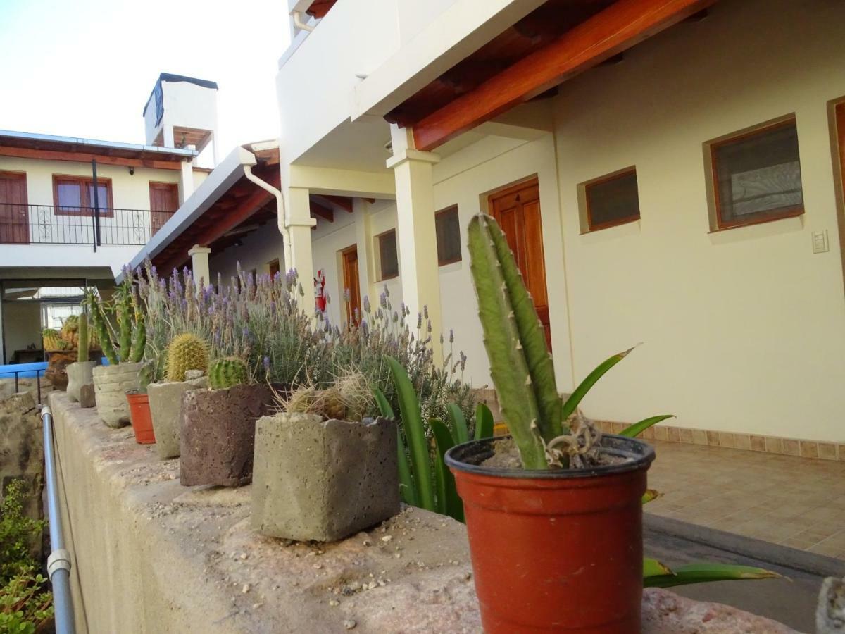 Casa Cactus Cafayate Hotel Exterior photo